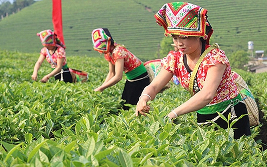 Tiến hành điều tra, thu thập thông tin về thực trạng ktxh của 53 dân tộc thiểu số
